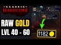 High Level Raw Gold Farm in Hardcore Classic WoW