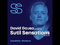 sutil sensations 397 music by fred again.. the blessed madonna keinemusik basement jaxx solomun