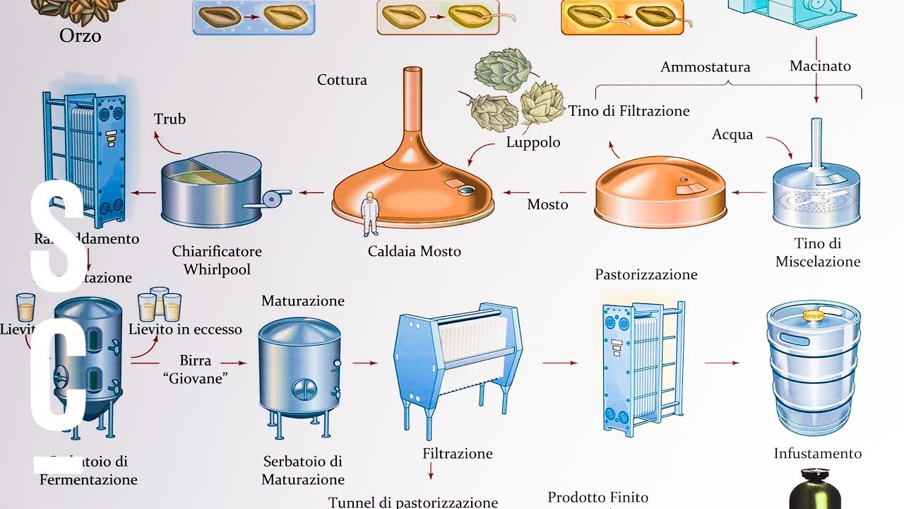 Gli Ingredienti E La Produzione Della Birra 🍺| ASSOBIRRA - YouTube