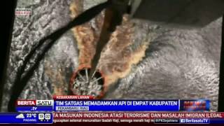 Satgas Kebakaran Hutan Padamkan Api di 4 Kabupaten