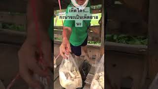 เห็ดไค