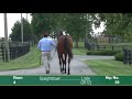 Hip 39 Keeneland September 2017