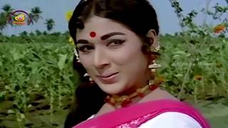 Telugu Evergreen Song | Pachagaddi Koseti Full Song | Dasara Bullodu Movie | ANR Hits | Mango Music