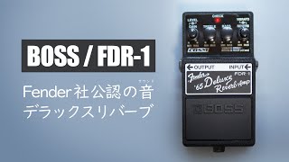 Fenderとコラボ！BOSSの作るデラックスリバーブのサウンド！ / 【BOSS / FDR-1 Deluxe Reverb】