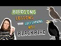 How to Identify Blackbird Song - Episode 1 of Birdsong Lessons with Lucy Lapwing