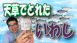 【スーパー】 【食品スーパー】 【スーパーマーケット】 【4K】熊本県天草でとれたイワシで作ったふりかけです！通宝 熊本天草産いわしふりかけ☆熊本県人吉球磨のスーパーマーケット★ 人吉