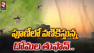 పూణేలో వణికిస్తున్న దోమల తుఫాన్ | Mosquito Tornado In Pune | RTV