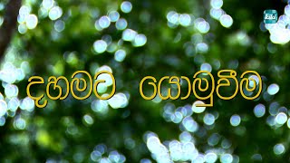 Hari Awabodaya (හරි අවබෝධය) | Episode 14 | KiKi Entertainments