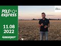 Pszenica Venecja po żniwach. Jaki dała plon? POLE express - Agrosimex