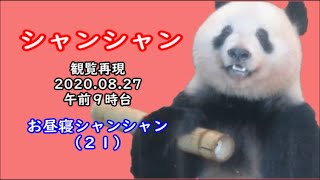 シャンシャン観覧再現動画【2020.08.27 午前9時台】＆お昼寝シャンシャン（21）