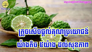 ​ក្រូចសើចផ្ដល់គុណប្រយោជន៍យ៉ាងតិច ៥យ៉ាង ដល់សុខភាព | ឃ្លាំងសុខភាព | ចំនេះដឹងសុខភាព