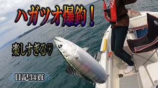 ハガツオ釣れすぎ！高級魚も釣れて楽しすぎました！最後は海上保安庁さん。