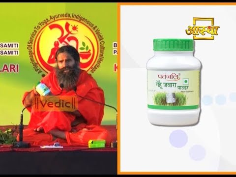 Patanjali Wheat Grass Powder | Product by Patanjali Ayurveda Patanjali Wheat Grass Powder | Product by Patanjali Ayurveda