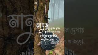 মানুষ শুরুতে যে টান দেখায় শেষ পর্যন্ত যদি সেই টানটা দেখাতো গল্পটা অন্যরকম হতো#foryou #viralvideo