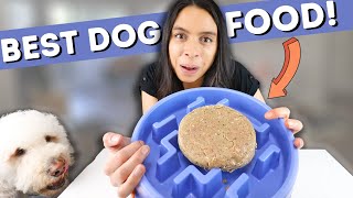 WHAT I FEED MY DOG 👉 (Plus: kibble topper ideas!)
