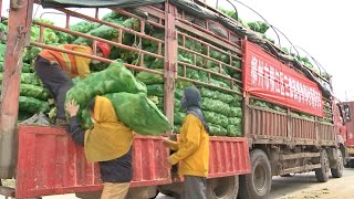 Donations from south China's Guangxi arrive in Hubei