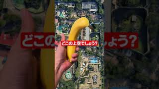 【面白動画】バナナを落とした先は…？ #shorts #おもしろ