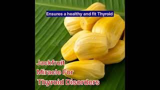 Jackfruit Miracle For Thyroid Disorders # Shorts #