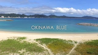 沖縄ドローン空撮「21世紀の森ビーチ」Drone Footage of Okinawa Beach