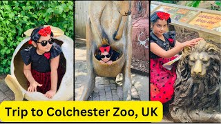 Zoo trip Colchester UK.... An unforgettable trip #fun #animals #tiger #lion