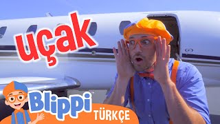 Blippi Özel Jet Keşfediyor | Blippi Türkçe - Çocuklar için eğitici videolar | Türkçe Dublajlı