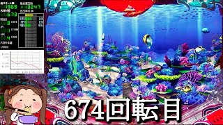 Pスーパー海物語IN沖縄5【沖海5】パチンコライブ配信 海物語ライブ生配信 こあげホール実践実機配信 『こあげ ++613 海物語Live』