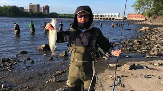 [Fishing] 2021.5.28 Montreal Fishing in Berge de l'Alose