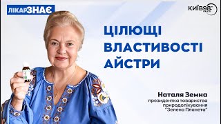 НАТАЛЯ ЗЕМНА: Цілющі властивості айстри | ЛІКАР ЗНАЄ