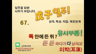 (일주를 알면 사주가 보입니다.) 67. 무자일주의 성격. 특성.  유시무종, 독안에든쥐, 돈돈하다가다날려요. 이박