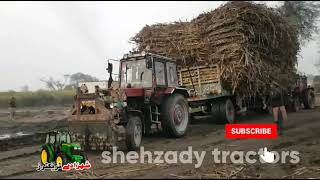 Sugarcane OverLoad Tractor Trailer Fail In Mud | Tractor Failed In Mud With  Help Belarus Tractor
