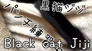 猫パンチするぞ！　 Black cat Jiji punch practice