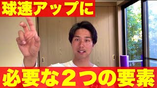 【球速アップの本質】フォームもトレーニングもこれを意識せよ