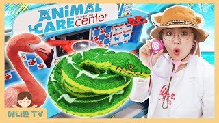 뱀이 아파요! ♥ 출동! 동물구조대 펭귄 라마 강아지 동물보호 Animal Hospital Pretend Play [애니한TV]