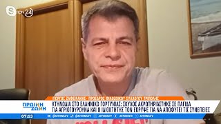 Ελληνικό Γορτυνίας: Σκύλος ακρωτηριάστηκε σε παγίδα για αγριογούρουνα | ACTION 24