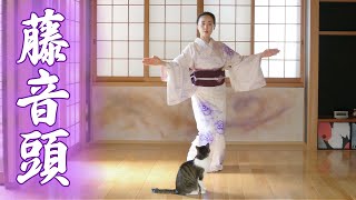 A love story between an intoxicated wisteria girl and a pine tree | Japanese dance ‘Fuji Ondo’.