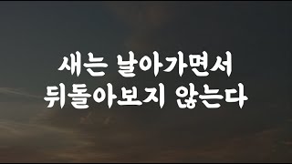 과거의 상처나 기억들이 당신을 아프게 할 때