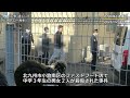 事件で使われた刃物か　容疑者宅と車内から複数押収　中学生２人殺傷・福岡県警