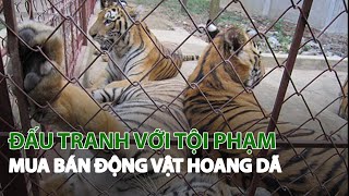 Đấu tranh với Tội phạm mua bán Động vật hoang dã| VTC14