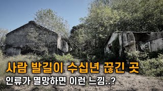 우리나라 맞아? 이 세상에 나 혼자 남겨진 기분..