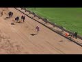 gunnedah 08102016 race 8