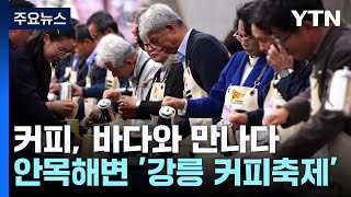 커피, 바다와 만나다...발상지에서 열린 축제 / YTN