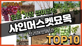 샤인머스켓묘목 추천 판매순위 Top10 || 가격 평점 후기 비교