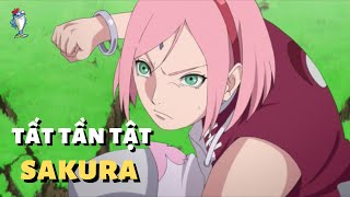 TẤT TẦN TẬT VỀ CUỘC ĐỜI SAKURA , TÌNH YÊU MÙ QUÁNG