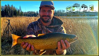 Duck Mountain Fishing Targeting Stocked Trout