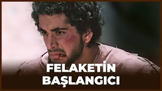 Kurtların Saldırısı ve Kardeşler Birbirine Giriyor! - Hz Yusuf 8. Bölüm