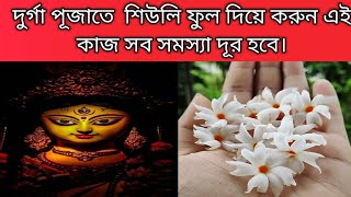 দুর্গাপুজোর আগেই জেনে নিন শিউলি ফুলের টোটকা দূর হবে অর্থ সংকট থেকে সব সমস্যা। Durga puja