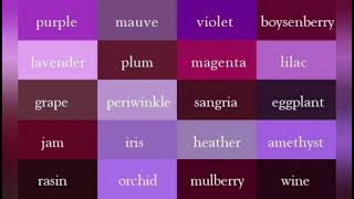 Shades of violet🎨💜💜💜