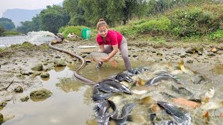 Harvest big fish thanks to the pump that sucks water out of deep pools.