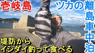 離島の堤防からイシダイ釣って食べる【ツカの離島車中泊】壱岐島