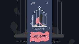 Twin Flame Dark Night of the Soul #shorts